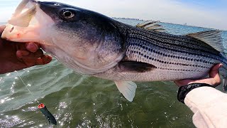 BIG KEEPER STRIPED BASS with Good Old Fashion Monofilament Fishing Line Talk