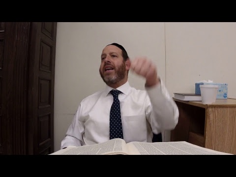 Zevachim 23