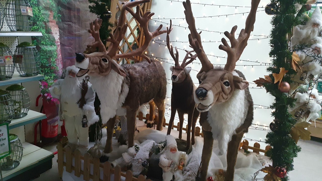 London one of the Best 🎄 Christmas Decorations 😍 Osterley Garden Centre Singing reindeers Must see !