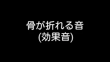 Youtuber 効果音 骨が折れる音