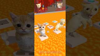 Cats VS LAVA🙀