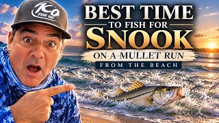 I Went Snook Fishing On A Mullet Run! I Made One HUGE Mistake!