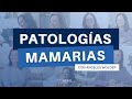¿Cómo se interpretan las patologías mamarias desde la Descodificación Biológica?