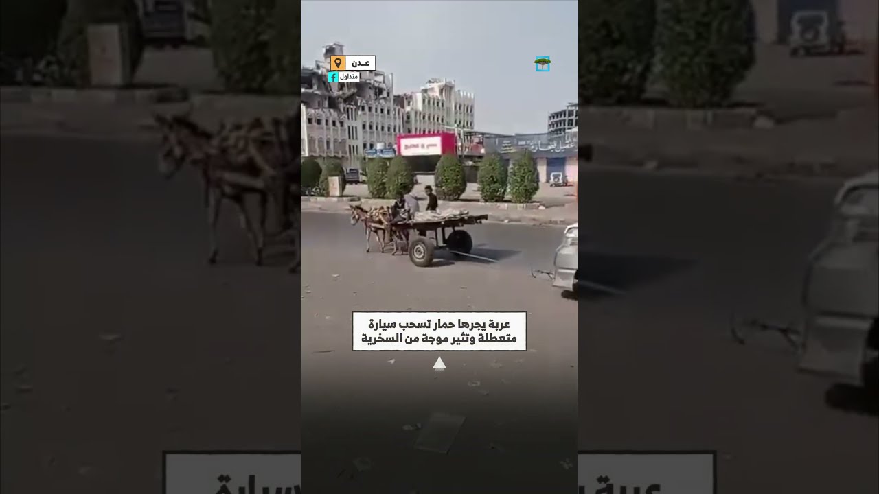 “تكنولوجيا”... حمار يجرّ سيارة تعطلت في شوارع عدن
