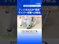 自分で考えて動くフィジカルAI 期待の一方で課題も ハッキングで制御不能…“物を壊す・危害を加える”に繋がりかねない懸念｜TBS NEWS DIG #shorts