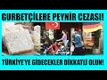 Avrupa'da YAŞAYANLAR MUTLAKA İZLESİN! Türkiye'den dönecekler için çok önemli haber! Son dakika