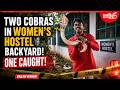 EP 279 | Cobra found at women’s hostel; cobra under stacked logs; rat snake at factory site