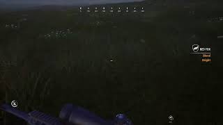 Hunting simulator 2