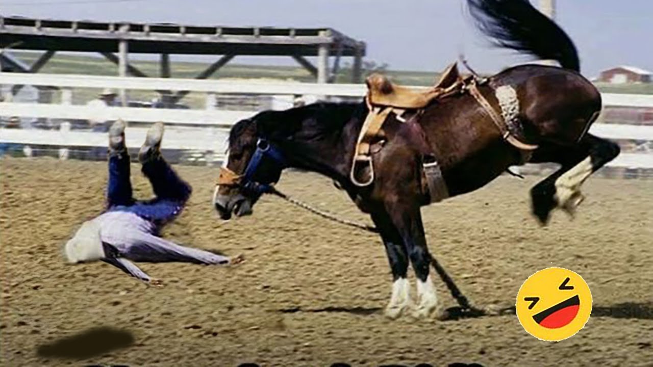 Best funniest horses of the week - Funny And Cute horses Video Compilation 2024 🐴#18