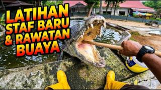 Download lagu LATIH STAF BARU, CUCI & RAWAT BUAYA | S1E9 