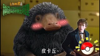 【low君】low君带你看电影之《神奇动物：格林德沃之罪》｜艾迪·瑞德曼、凯萨琳·华特斯顿、丹·富乐主演