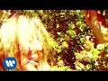 The Flaming Lips - See The Leaves (Blistering Sun Version)