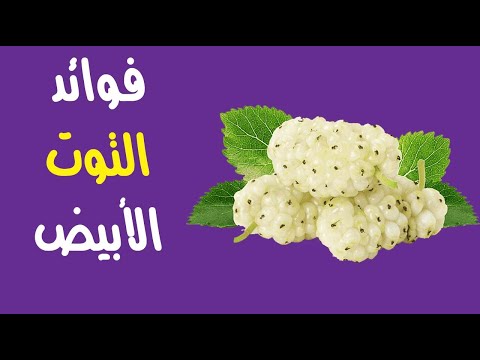 فيديو: هل تأكل التوت الأبيض؟