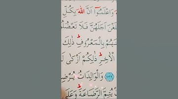 سورة البقرة الأية 232 القارئ مشاري راشد العفاسي