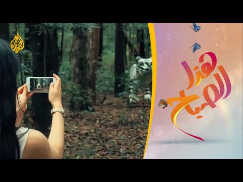 🌅 خذا الصباح - معرض فني بحديقة معبد ميجي في اليابان