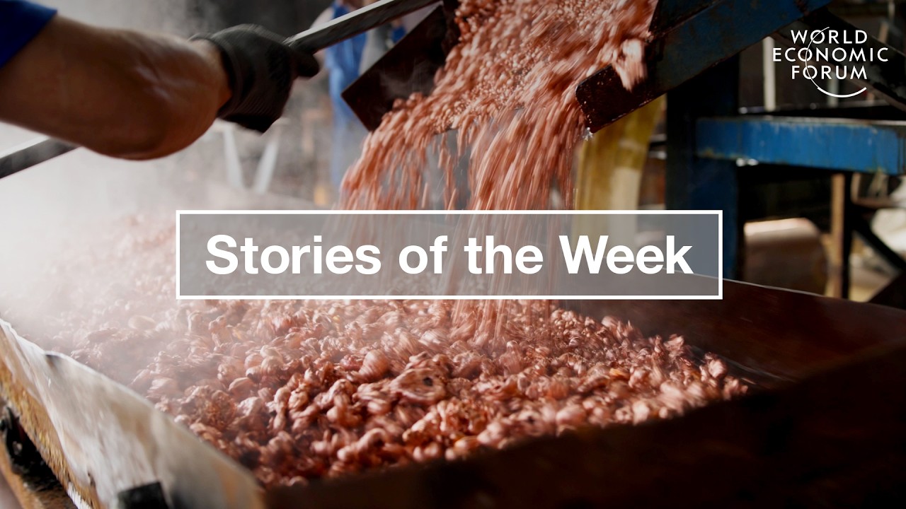 Thumbnail for The Race For Copper Supplies & The Company Tackling Fishing Net Waste | WEF | Stories of the Week