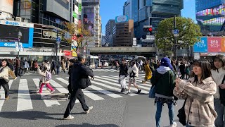 Shibuya Autumn Afternoon Walk | Japan 4K ASMR | Tokyo Silent Explorer