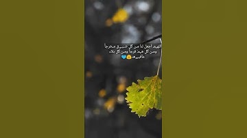 ارح سمعك♡♡بعيداً عن ضجيج الحياة__ قرآن كريم...