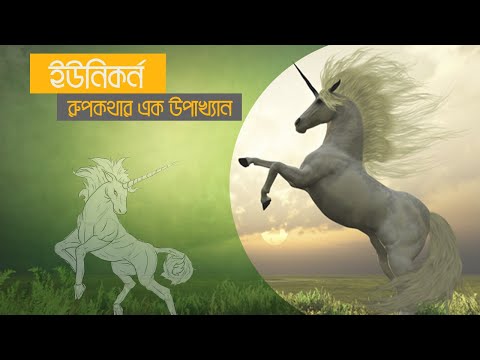 Unicorn (ইউনিকর্ন) A mythical creature which belongs to National Animal. লোককাহিনীর বিষ্ময়কর প্রানি।