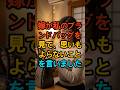 嫁が私のブランドバッグを見て、思いもよらないことを言いました #家族 #現実の話 #実話 #エピソード #drama