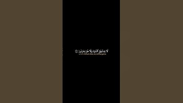 ماتيسر من سورة الزمر| بصوت خاشع من القلب للقلب شاشه سوداء