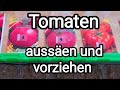 Tomaten 🍅 aussäen und vorziehen. März - April