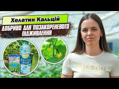 Хелатин Кальцій -