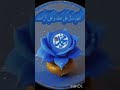 ALLAH loves His PROPHET  محمد صلى الله عليه واله وسل #Allah #love #muhammad #ytshorts
