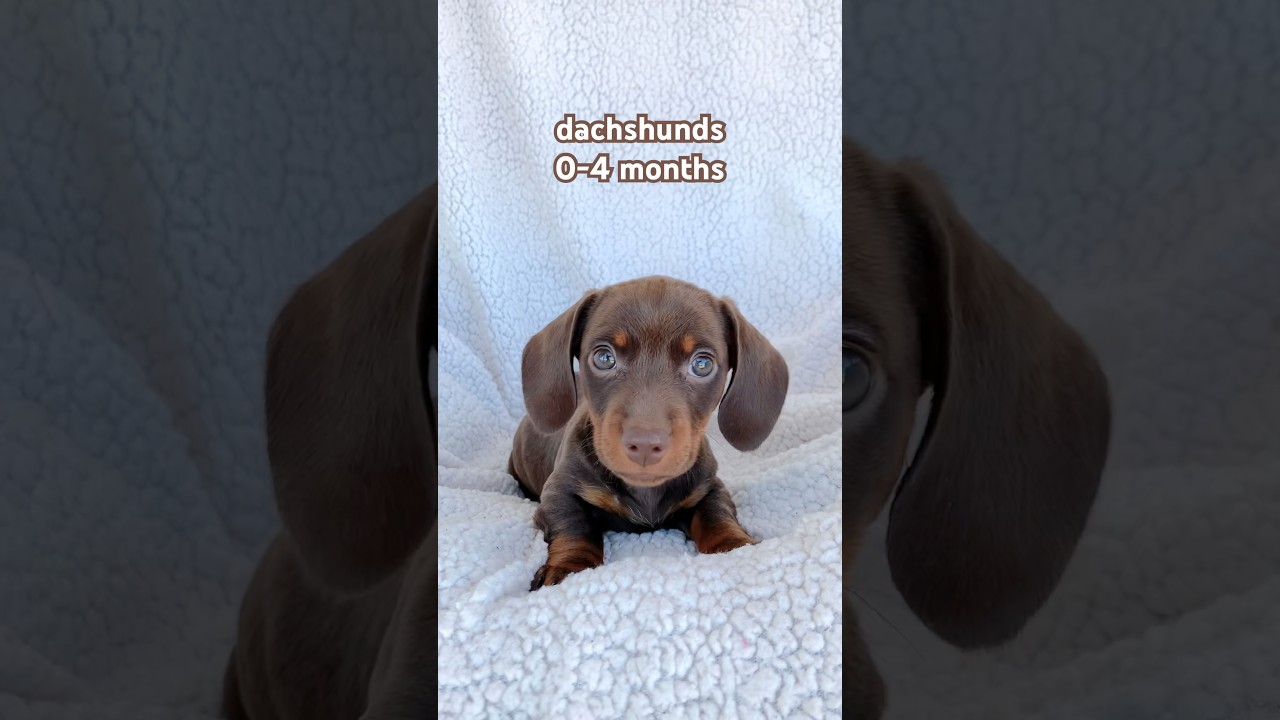 why is this so true? 