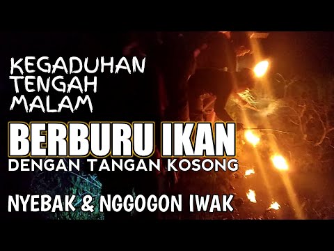 Resiko Berburu Ikan Tengah Malam | eVlog