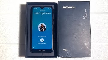 incoming call DOOGEE Y8 With BOX