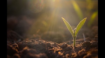 Exposure Response Prevention for OCD Part 2 - Oct 14, 2020