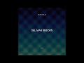 Mesdag - Del Mar Reborn