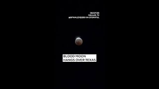 Blood Moon hangs over Texas