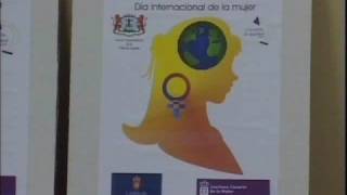 1er Concurso Cartel Día Internacional contra la Violencia hacia las Mujeres 2008