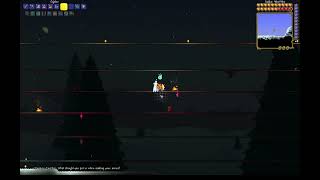 What Should You Put In When Making Your Arena?