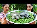 Yummy cooking turtle with chili recipe - Natural Life TV