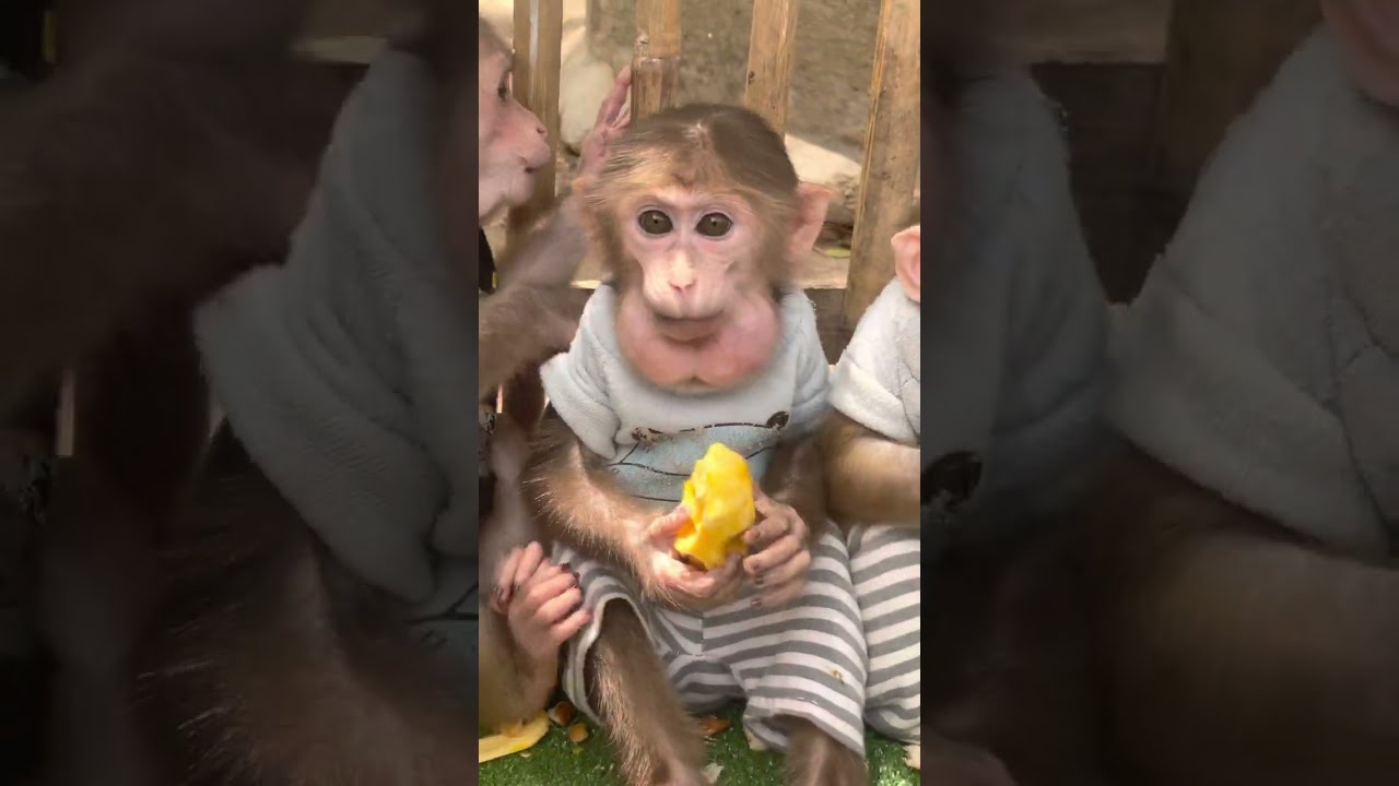 Yummy My Boy Jooy Having Good Time Ploy Family