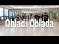 Obladi oblada line dancephrased easy intermediatemarchy susilani