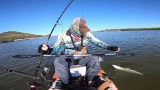 Looking at running the 2nd cam - Giant herring screenshot 5