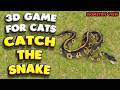 3D game for cats | CATCH THE SNAKE (sometric view) | 4K, 60 fps, stereo sound