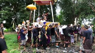 La Ceremonia Funeraria de la Cremación en Bali (INDONESIA) by Jesús Tortajada 241 views 1 year ago 2 minutes, 55 seconds