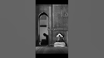 وَقَالَ رَبِّ أَوْزِعْنِي أَنْ أَشْكُرَ نِعْمَتَكَ || سورة النمل || علي جابر