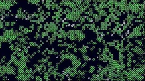 Simulating Massive Ecosystems On The GPU With OpenCL