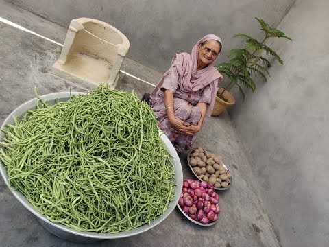 green-beans-potato-recipe-|-sabzi-|-sabji-|-recipe-|-food-|-veg-village-food