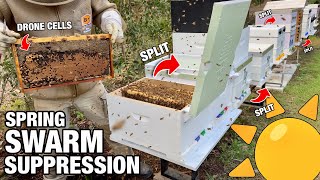 Swarm Prevention: Splitting Beehives Before Spring
Hoocho actions Swarm Prevention: Splitting 4 Hives Ahead of Spring
3D Print available on my Patreon: https://www.patreon.com/Hoocho
Hydroland US Amazon Store:
https://www.amazon.com/dp/B0D9YXBCL7
Hydroland Australia: https://hydroland.com.au/
Check out Hoochos Second Channel:
All the Gear. No Idea... https://www.youtube.com/channel/UCZ1X1DDLCkAXJG5qfjDO6tg
Patreon: https://www.patreon.com/Hoocho
Hoochos explores the worlds of Hydroponics, Aquaponics, Permaculture, Homesteading, Fermentation, Technology and DIY Builds to look at the world through a larger lens that can incorporate the best of everything into a rich and rewarding lifestyle.
Through self sufficiency we can reduce consumption and increase our hyperlocal household production.
STL Files are Available on the Hoocho Patreon:
https://www.patreon.com/Hoocho
Recommended 3D Printers:
https://shareasale.com/r.cfm?b=2282157&u=4196303&m=138211&urllink=&afftrack=
Contributions to the Channel:
https://www.paypal.me/HelpHoochCreate
Grow Light Discount Codes:
Vipar Spectra Website-
10% discount for the XS1000: yt10Hoocho
5% discount for the XS1500/XS2000/XS4000: ytHoocho
Amazon US: https://amzn.to/3eY9CYx
Amazon Canada: https://amzn.to/38udUVe
XS1500 Purchase Link: https://www.viparspectra.com/?aff=ku6e4b9047c&utm_source=affiliate
8% off Coupon Code: HOOCHO
SpiderFarmer Lights:
https://epicledgrowlight.com/?ref=ku6e4b9047c
Apply code HOOCHO for 3% discount.
Mars Hydro Lights:
https://epicledgrowlight.com/?ref=ku6e4b9047c
Apply code HOOCHO for 3% discount.
Groplanner Website - 6% off Promo code:HOOCHO618
https://bit.ly/3plYOs7
US Amazon - 5% off Promo code:HOOCHO618
https://amzn.to/3iTViE2
FLEX-STAR Website: https://flex-star.com/
Discount Code: flex.hoocho10
Merch:
Teespring: https://teespring.com/stores/hoochos
The Shirt I Wear: https://hoochos.creator-spring.com/listing/new-coloured-planted-puck?product=2
Social Media & Contact
Patreon: https://www.patreon.com/Hoocho
Facebook Group: https://www.facebook.com/groups/734980197112269/
Reddit Community: https://www.reddit.com/r/Hoocho
Facebook: https://www.facebook.com/hoochos/
Instagram: https://www.instagram.com/hoochos
Business Enquiries: contacthoocho@gmail.com
If you have personal queries about hydroponics or other matters please join me on the Hoocho’s facebook group and there are a lot of friendly helpful likeminded people that may have answers for you.
Happy Hydroponicing! Swarm Prevention: Splitting Beehives Before Spring