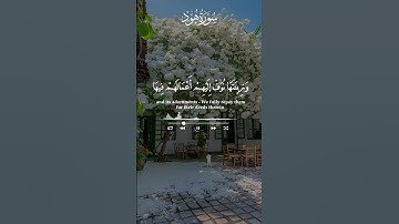تلاوة تذيب القلب #عبد الباسط عبد الصمد #اكسبلور #حالات واتس #قرآن