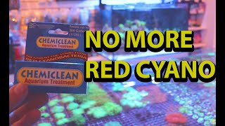 How To Get Rid Of Red Cyano Algae \\ Using Chemiclean