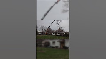 Hazardous Tree Removal Timelapse #treework #arborist #trees #treeremoval