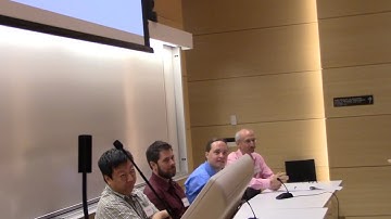 AGI-16 Panel Discussion for Workshop on whether Deep Neural Networks can solve the problems of AGI